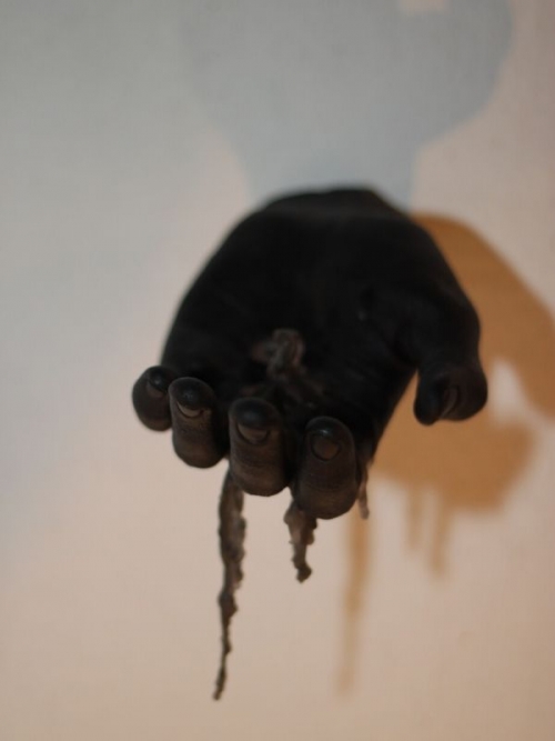 EPITAFIO ALDO CORONEL